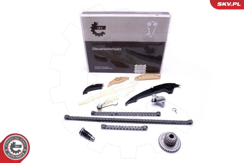 Timing Chain Kit
